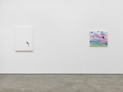 Wish. Installation view, 2021. Metro Pictures, New York.