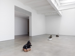 Year of The Dog. Installation view, 2018. Metro Pictures, New York.
