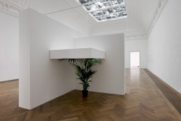 Untitled, 2012. Plant (any species of banana or palm), Wood, Dimensions variable (contingent on corner with install), Plant should be approx 170 cm tall but &quot;suppressed&quot; by shelf above. Installation view, 2012. Kunsthalle Basel.