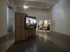 T. J. Wilcox, 2010, installation view. Metro Pictures, New York