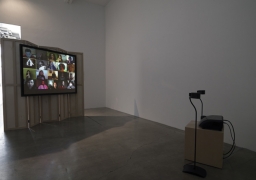 T. J. Wilcox, 2010, installation view. Metro Pictures, New York
