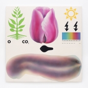 Gernot Bubenik painting 'Naturgeschichte mit Tulpe und Plattwurm'