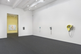 Camille Henrot. Installation view, 2015. Metro Pictures, New York.