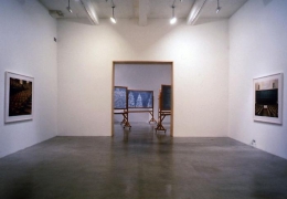 &quot;The Forest for the Trees,&quot; installation view, 1998. Metro Pictures, New York.