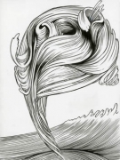 Forces of Nature/Hair, 2011. Ink on paper, 12 x 9 inches (image size), (30.5 x 22.9 cm); 14 5/8 x 11 5/8 inches (frame size), (37.1 x 29.5 cm). MP D-495