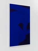 Pink Nude, Blue, 2013. Digital C-print with Blue and Pink Plexi-Glas, 80 x 48 in (203.2 x 121.9 cm).