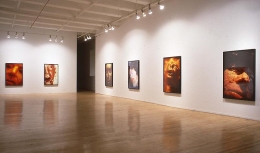 Installation view, 1996. Metro Pictures, New York.