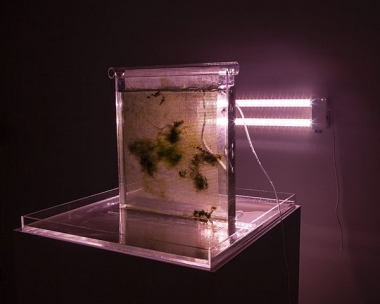 Arden Surdam sculpture 'Scrubber (Bioreactor III)'