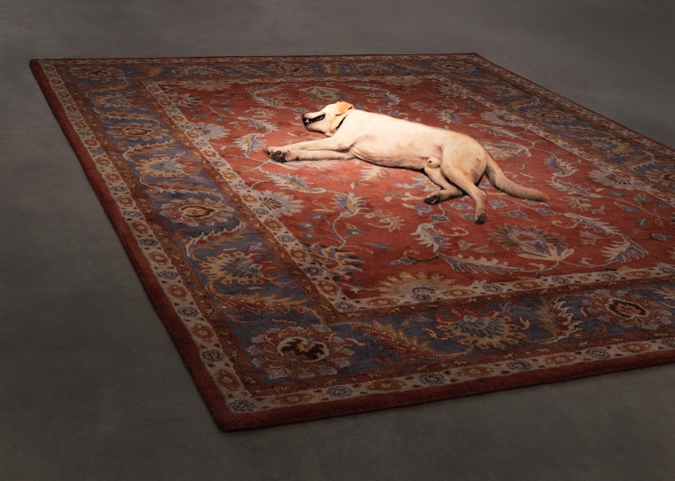 Tragedy, 2012.&nbsp;Persian rug, dog. Performance still, 2012.