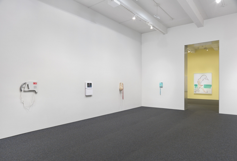 Camille Henrot. Installation view, 2015. Metro Pictures, New York.