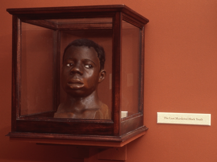 Fred Wilson installation with wax sculpture of a youth's head in vitrine with wall label